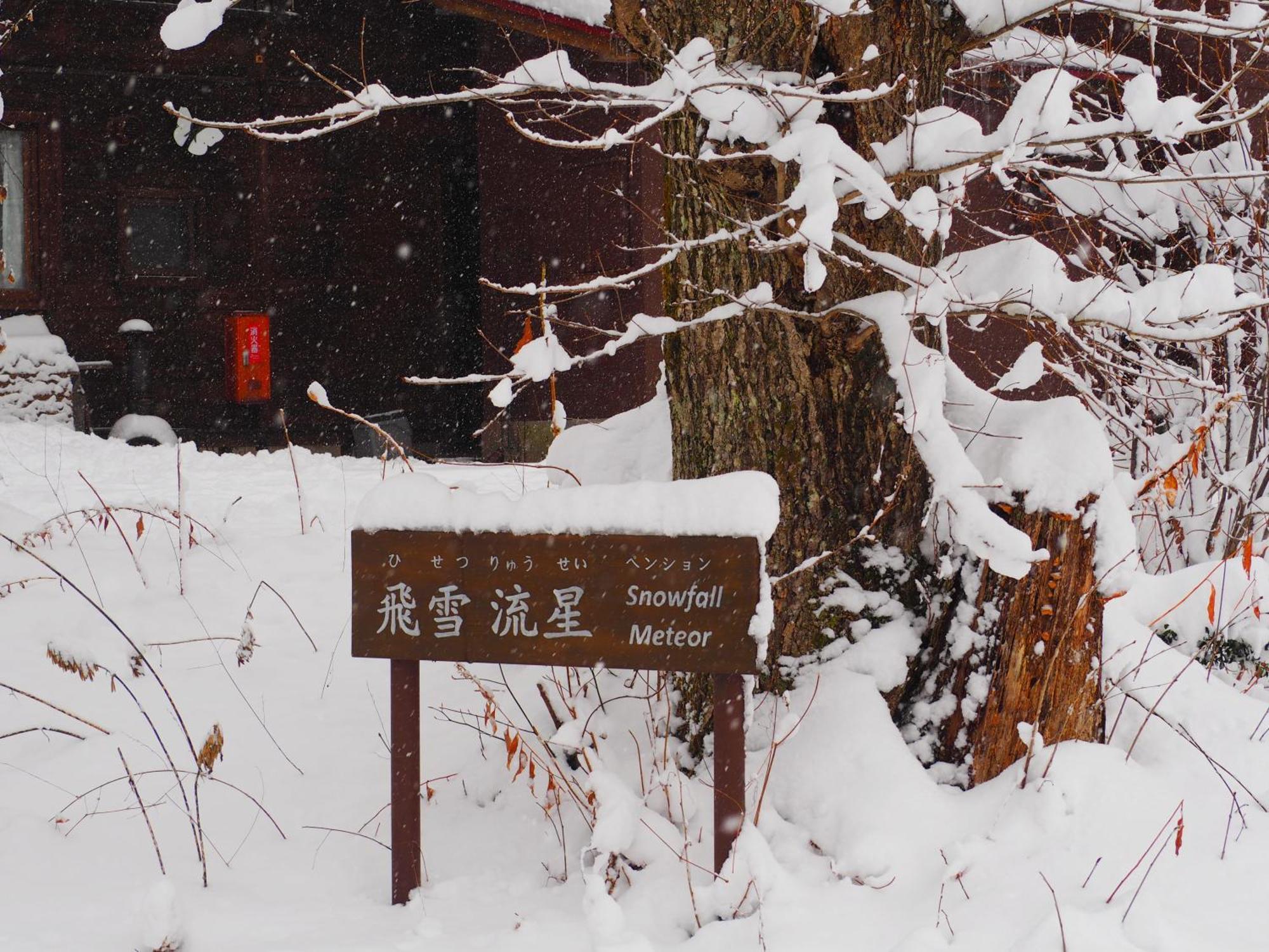 Snowfall Meteor 飛雪流星 Kaminoyama Exterior foto